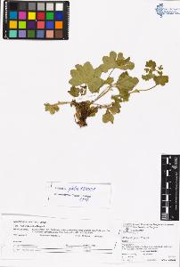 SW_BNB_s3070-06621_IMG-0000000001