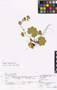 SW_BNB_s3070-06622_IMG-0000000001
