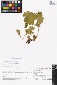SW_BNB_s3070-06623_IMG-0000000001