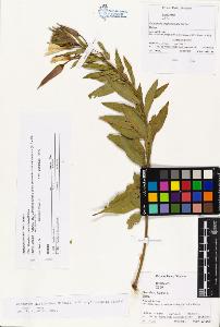 SW_BNB_s3070-06625_IMG-0000000001