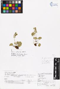 SW_BNB_s3070-06628_IMG-0000000001