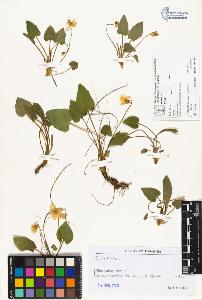 SW_BNB_s3070-06631_IMG-0000000001