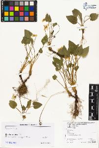 SW_BNB_s3070-06632_IMG-0000000001