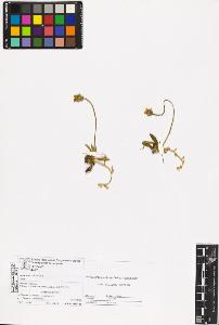 SW_BNB_s3070-06638_IMG-0000000001