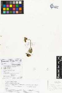 SW_BNB_s3070-06639_IMG-0000000001
