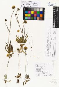 SW_BNB_s3070-06643_IMG-0000000001