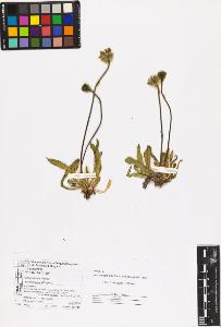 SW_BNB_s3070-06645_IMG-0000000001