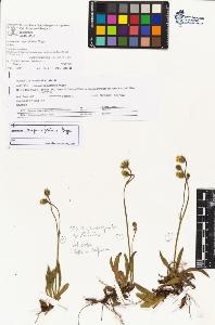 SW_BNB_s3070-06646_IMG-0000000001