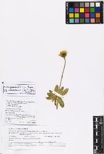 SW_BNB_s3070-06651_IMG-0000000001