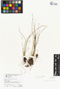 SW_BNB_s3070-06653_IMG-0000000001