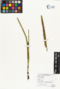 SW_BNB_s3070-06654_IMG-0000000001