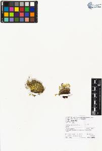 SW_BNB_s3070-06656_IMG-0000000001
