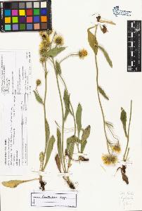 SW_BNB_s3070-06657_IMG-0000000001