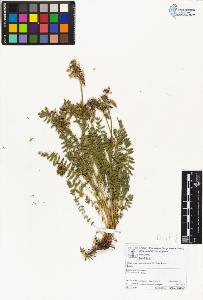 SW_BNB_s3070-06659_IMG-0000000001