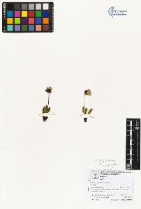 SW_BNB_s3070-06662_IMG-0000000001