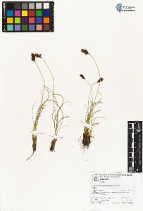 SW_BNB_s3070-06664_IMG-0000000001