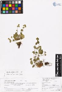 SW_BNB_s3070-06666_IMG-0000000001