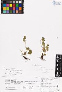 SW_BNB_s3070-06667_IMG-0000000001