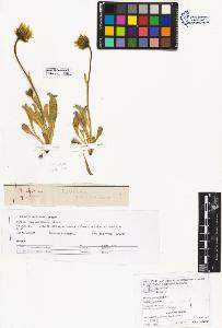 SW_BNB_s3070-06671_IMG-0000000001