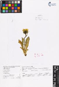 SW_BNB_s3070-06673_IMG-0000000001