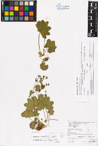 SW_BNB_s3070-06678_IMG-0000000001