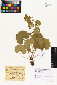 SW_BNB_s3070-06683_IMG-0000000001
