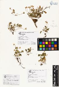 SW_BNB_s3070-06695_IMG-0000000001