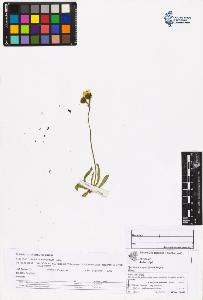 SW_BNB_s3070-06702_IMG-0000000001
