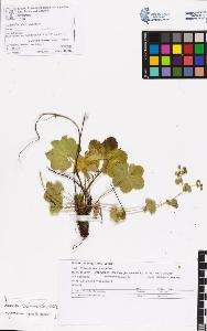 SW_BNB_s3070-06703_IMG-0000000001