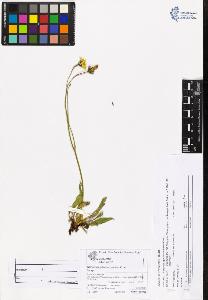 SW_BNB_s3070-06707_IMG-0000000001