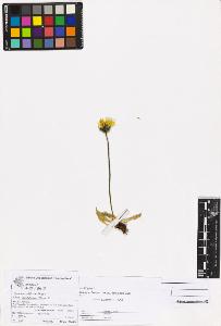SW_BNB_s3070-06710_IMG-0000000001