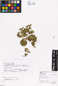 SW_BNB_s3070-06717_IMG-0000000001
