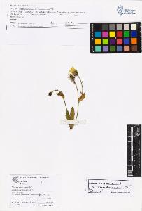 SW_BNB_s3070-06718_IMG-0000000001