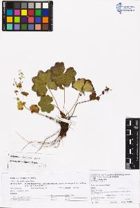 SW_BNB_s3070-06721_IMG-0000000001