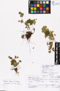 SW_BNB_s3070-06723_IMG-0000000001