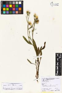 SW_BNB_s3070-06735_IMG-0000000001