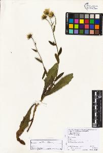 SW_BNB_s3070-06736_IMG-0000000001