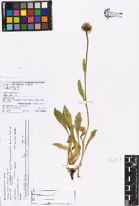 SW_BNB_s3070-06742_IMG-0000000001