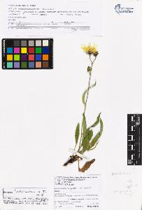 SW_BNB_s3070-06743_IMG-0000000001