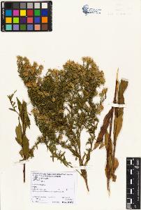 SW_BNB_s3070-06746_IMG-0000000001
