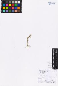 SW_BNB_s3070-06749_IMG-0000000001