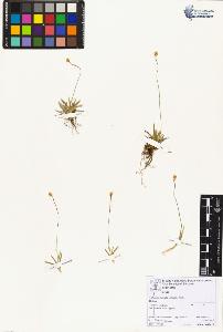 SW_BNB_s3070-06751_IMG-0000000001