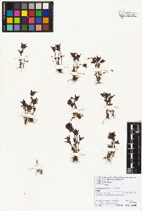 SW_BNB_s3070-06752_IMG-0000000001