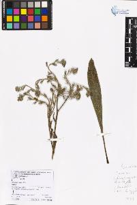 SW_BNB_s3070-06761_IMG-0000000001