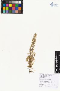 SW_BNB_s3070-06763_IMG-0000000001