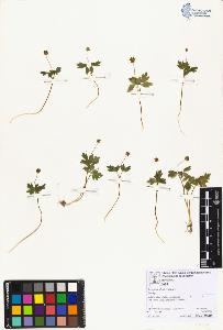 SW_BNB_s3070-06765_IMG-0000000001
