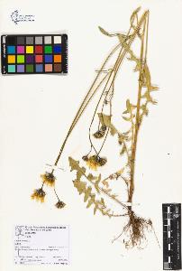 SW_BNB_s3070-06766_IMG-0000000001