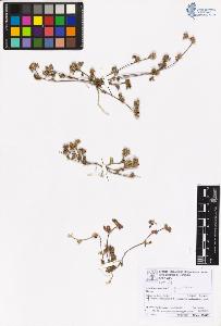 SW_BNB_s3070-06767_IMG-0000000001
