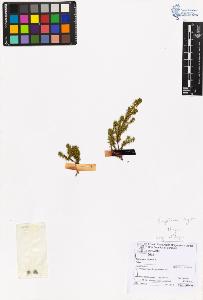 SW_BNB_s3070-06772_IMG-0000000001