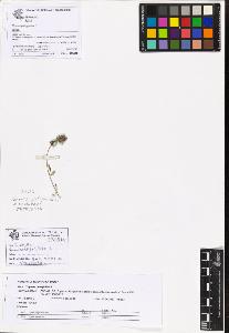 SW_BNB_s3070-06773_IMG-0000000001